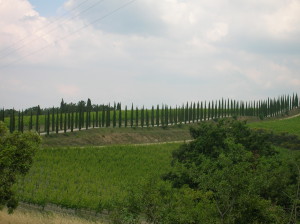 Toscane Casabianca 2007 185